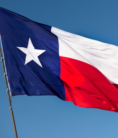 Untitled design (74)